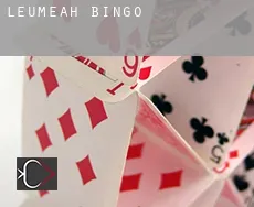 Leumeah  bingo