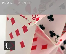 Präg  bingo