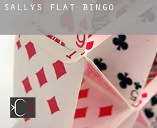 Sallys Flat  bingo