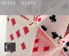 Steeg slots