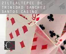 Ziltlaltepec de Trinidad Sanchez Santos  casino