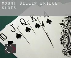 Mount Bellew Bridge slots
