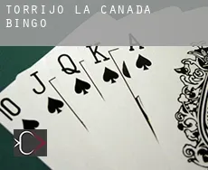 Torrijo de la Cañada  bingo