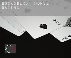 Bocksberg  horse racing