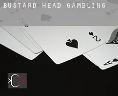 Bustard Head  gambling