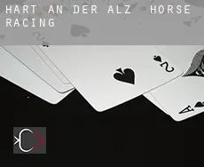 Hart an der Alz  horse racing