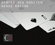 Hinter den Hörsten  horse racing
