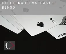 Killeenadeema East  bingo