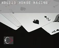 Kolijo horse racing