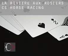 Rivière-aux-Rosiers (census area)  horse racing