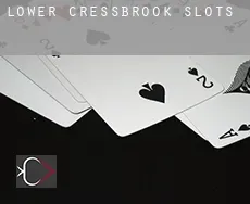 Lower Cressbrook  slots