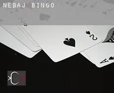 Nebaj  bingo