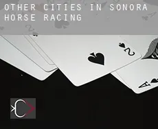 Other cities in Sonora horse racing