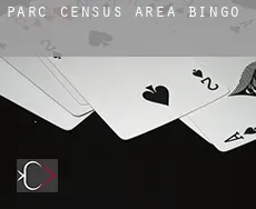 Parc (census area)  bingo