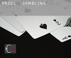 Priel  gambling
