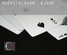 Puchschlagen  bingo