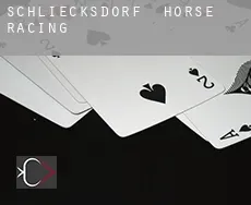 Schliecksdorf horse racing