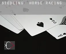 Siedling  horse racing