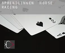 Sprendlingen horse racing
