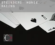 Steinberg horse racing