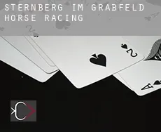 Sternberg im Grabfeld  horse racing