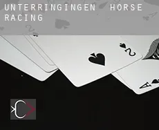 Unterringingen  horse racing