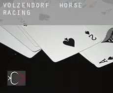 Volzendorf  horse racing