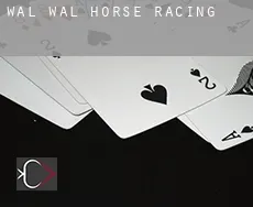 Wal Wal horse racing