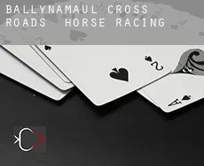 Ballynamaul Cross Roads  horse racing