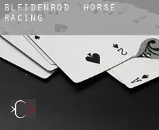 Bleidenrod  horse racing