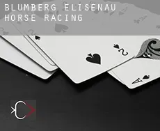 Blumberg-Elisenau  horse racing