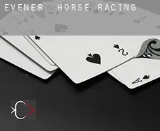 Evener  horse racing