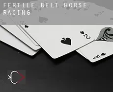 Fertile Belt  horse racing