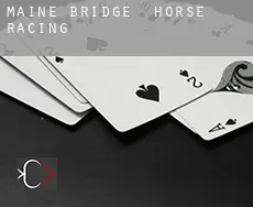 Maine Bridge  horse racing
