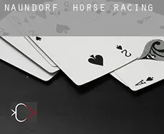 Naundorf  horse racing