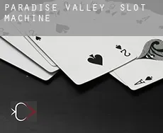 Paradise Valley  slot machine