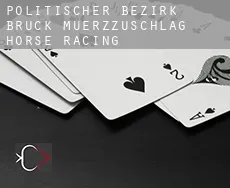 Politischer Bezirk Bruck-Muerzzuschlag horse racing