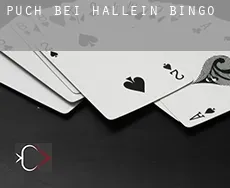 Puch bei Hallein  bingo