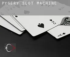 Pygery  slot machine