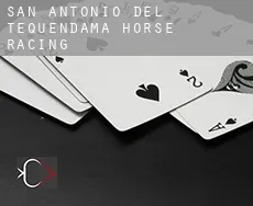 San Antonio del Tequendama  horse racing
