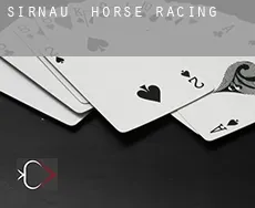 Sirnau  horse racing