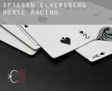 Spiesen-Elversberg  horse racing