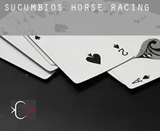 Sucumbios  horse racing