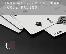 Tinnabally Cross Roads  horse racing