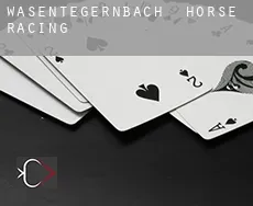 Wasentegernbach horse racing