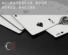 Wulmstorfer Moor  horse racing