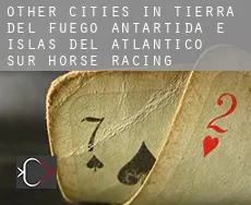 Other cities in Tierra del Fuego, Antartida e Islas del Atlantico Sur  horse racing