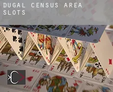 Dugal (census area)  slots