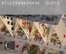 Killeennashask slots