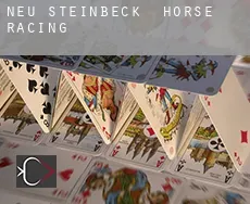 Neu Steinbeck  horse racing